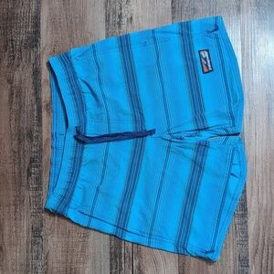 Patagonia Baggies 5.5" Size Small in Blue Stripe